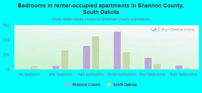 Bedrooms in renter-occupied apartments in Shannon County, South Dakota