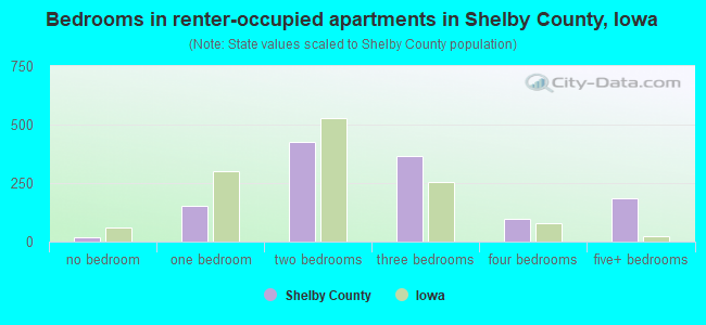 Bedrooms in renter-occupied apartments in Shelby County, Iowa