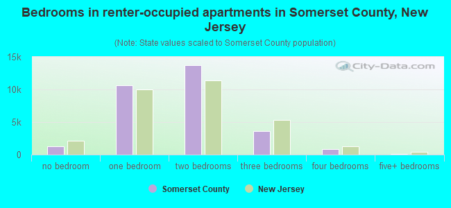 Bedrooms in renter-occupied apartments in Somerset County, New Jersey