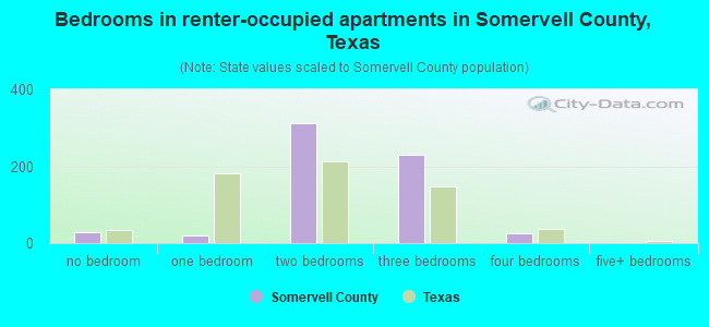 Bedrooms in renter-occupied apartments in Somervell County, Texas