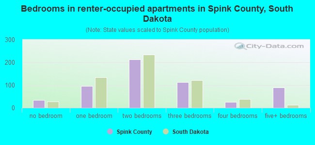 Bedrooms in renter-occupied apartments in Spink County, South Dakota