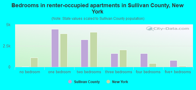 Bedrooms in renter-occupied apartments in Sullivan County, New York