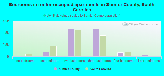 Bedrooms in renter-occupied apartments in Sumter County, South Carolina