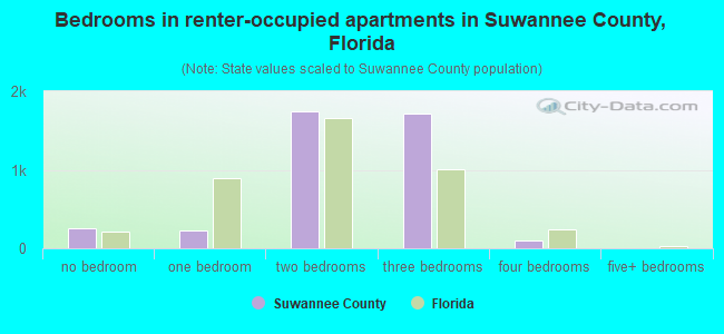Bedrooms in renter-occupied apartments in Suwannee County, Florida