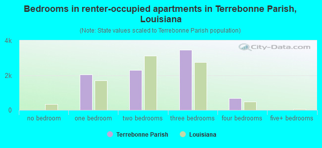 Bedrooms in renter-occupied apartments in Terrebonne Parish, Louisiana