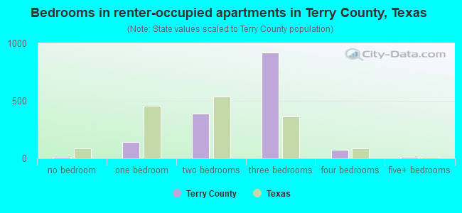 Bedrooms in renter-occupied apartments in Terry County, Texas