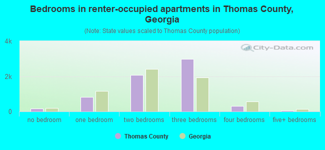 Bedrooms in renter-occupied apartments in Thomas County, Georgia