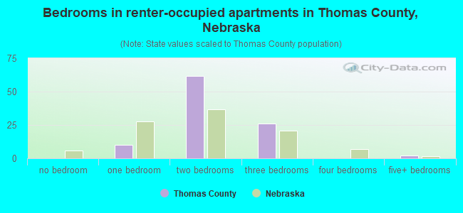 Bedrooms in renter-occupied apartments in Thomas County, Nebraska