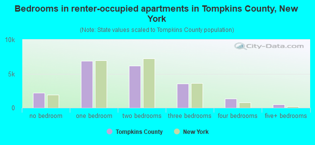 Bedrooms in renter-occupied apartments in Tompkins County, New York