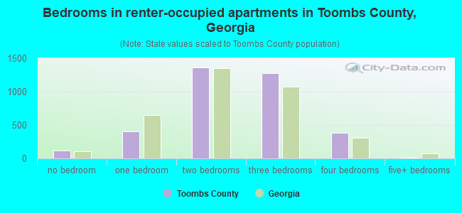Bedrooms in renter-occupied apartments in Toombs County, Georgia