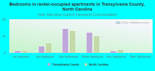 Bedrooms in renter-occupied apartments in Transylvania County, North Carolina