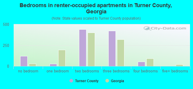 Bedrooms in renter-occupied apartments in Turner County, Georgia