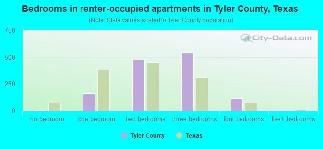 Bedrooms in renter-occupied apartments in Tyler County, Texas