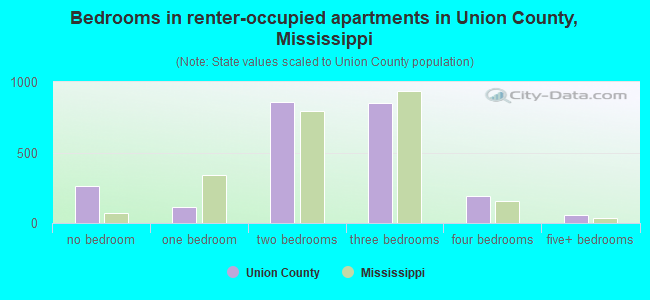 Bedrooms in renter-occupied apartments in Union County, Mississippi
