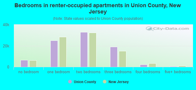 Bedrooms in renter-occupied apartments in Union County, New Jersey