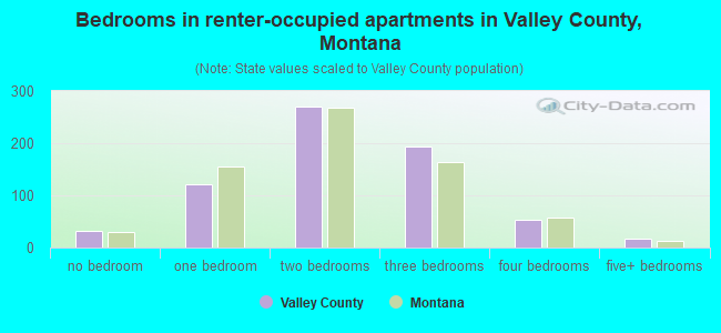 Bedrooms in renter-occupied apartments in Valley County, Montana