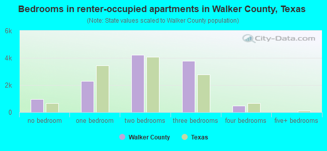Bedrooms in renter-occupied apartments in Walker County, Texas