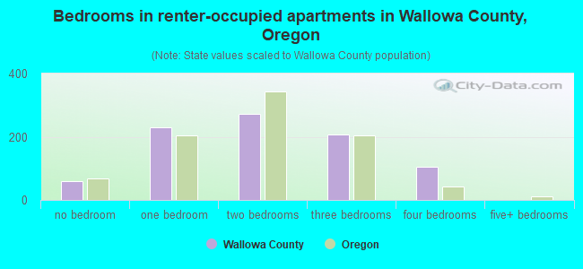 Bedrooms in renter-occupied apartments in Wallowa County, Oregon