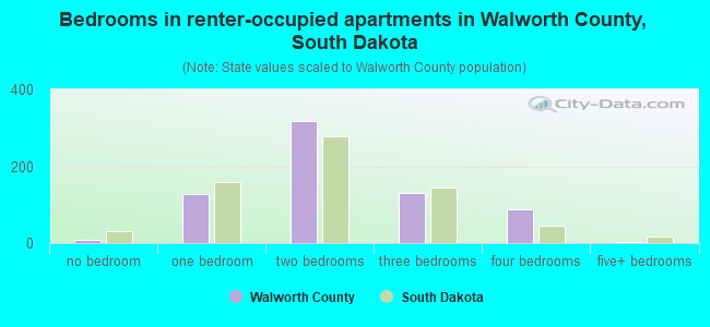 Bedrooms in renter-occupied apartments in Walworth County, South Dakota