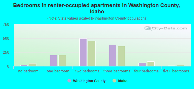 Bedrooms in renter-occupied apartments in Washington County, Idaho