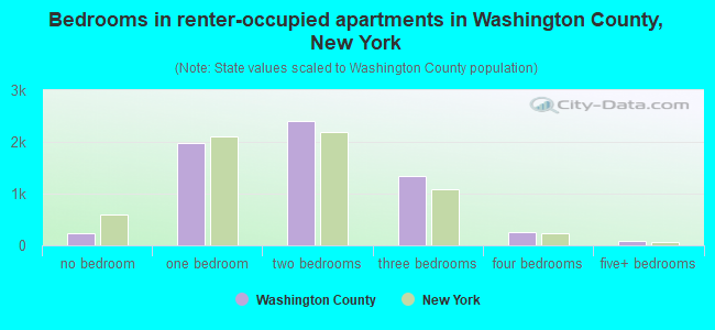Bedrooms in renter-occupied apartments in Washington County, New York