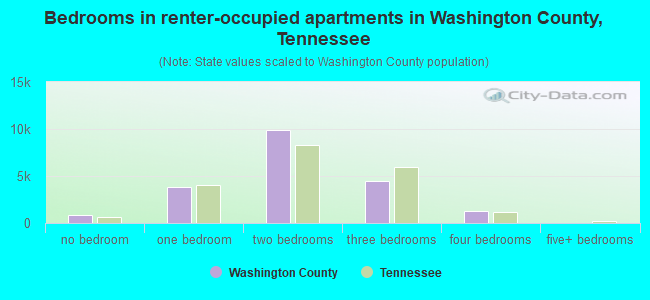 Bedrooms in renter-occupied apartments in Washington County, Tennessee
