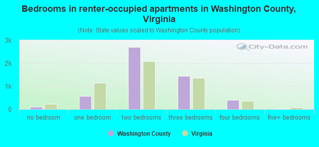 Bedrooms in renter-occupied apartments in Washington County, Virginia