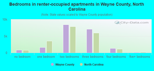 Bedrooms in renter-occupied apartments in Wayne County, North Carolina