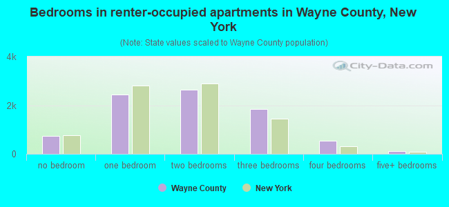 Bedrooms in renter-occupied apartments in Wayne County, New York