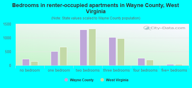 Bedrooms in renter-occupied apartments in Wayne County, West Virginia