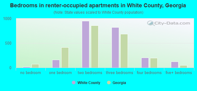 Bedrooms in renter-occupied apartments in White County, Georgia