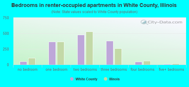 Bedrooms in renter-occupied apartments in White County, Illinois