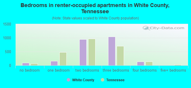 Bedrooms in renter-occupied apartments in White County, Tennessee