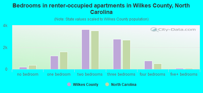 Bedrooms in renter-occupied apartments in Wilkes County, North Carolina