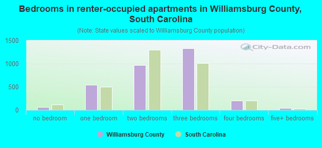 Bedrooms in renter-occupied apartments in Williamsburg County, South Carolina