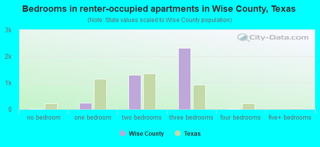 Bedrooms in renter-occupied apartments in Wise County, Texas