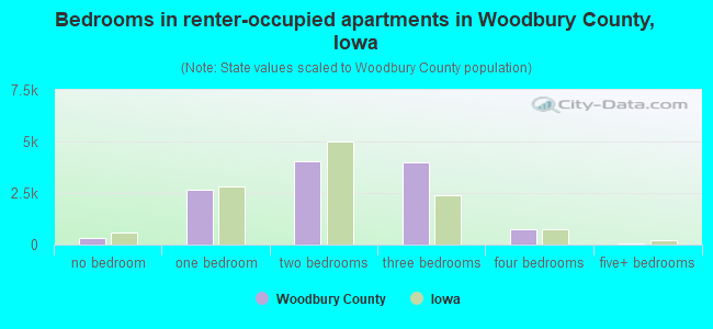 Bedrooms in renter-occupied apartments in Woodbury County, Iowa