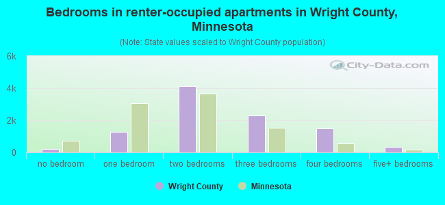 Bedrooms in renter-occupied apartments in Wright County, Minnesota