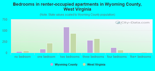 Bedrooms in renter-occupied apartments in Wyoming County, West Virginia