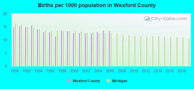 Births per 1000 population in Wexford County