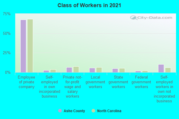 Class of Workers in 2022