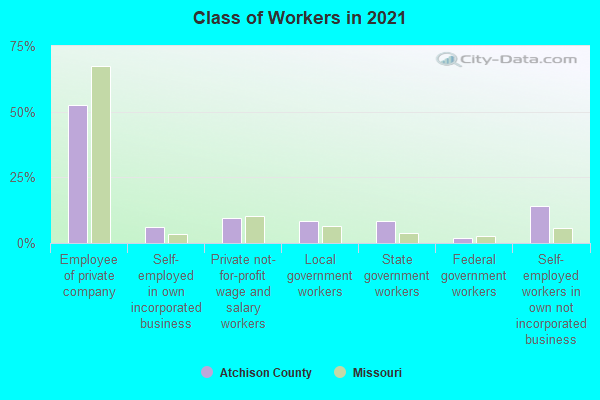 Class of Workers in 2022