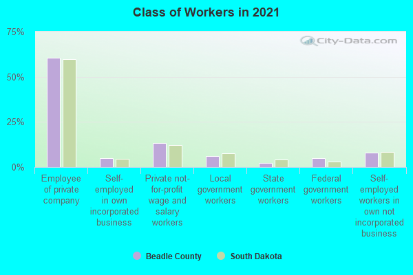 Class of Workers in 2022