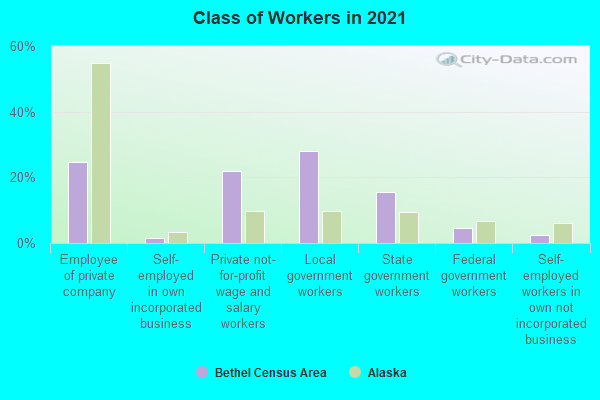 Class of Workers in 2022