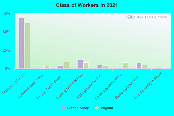 Class of Workers in 2022