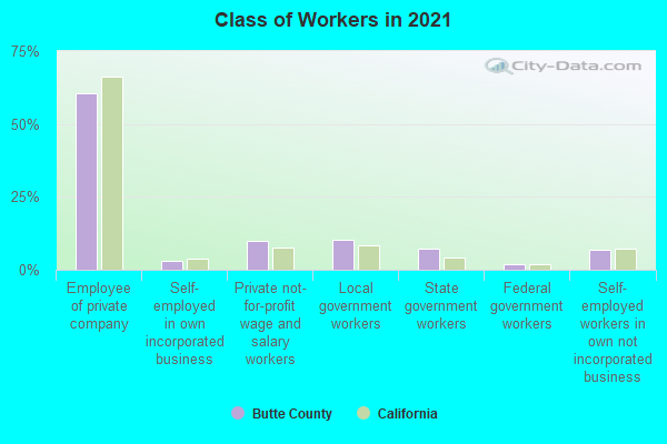 Class of Workers in 2022