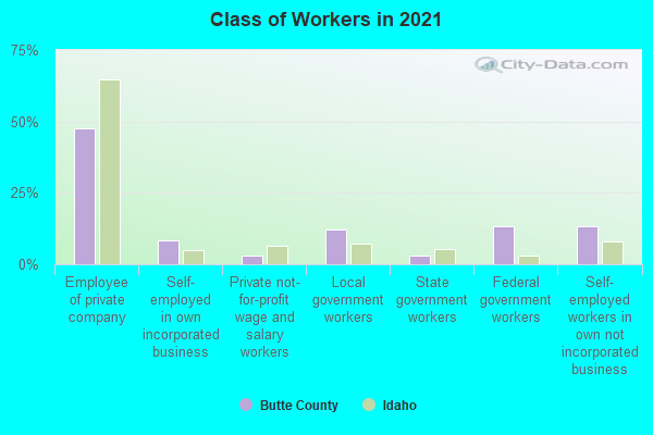 Class of Workers in 2022