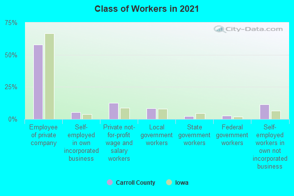 Class of Workers in 2022