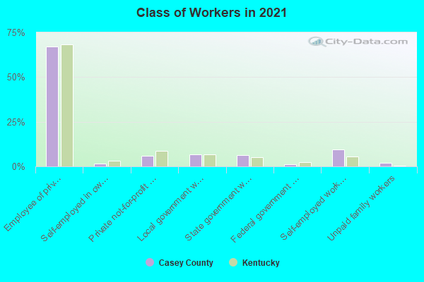 Class of Workers in 2022