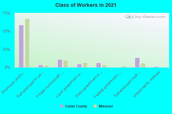 Class of Workers in 2022